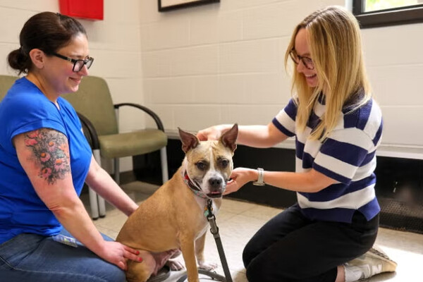 powell with dog in clinic