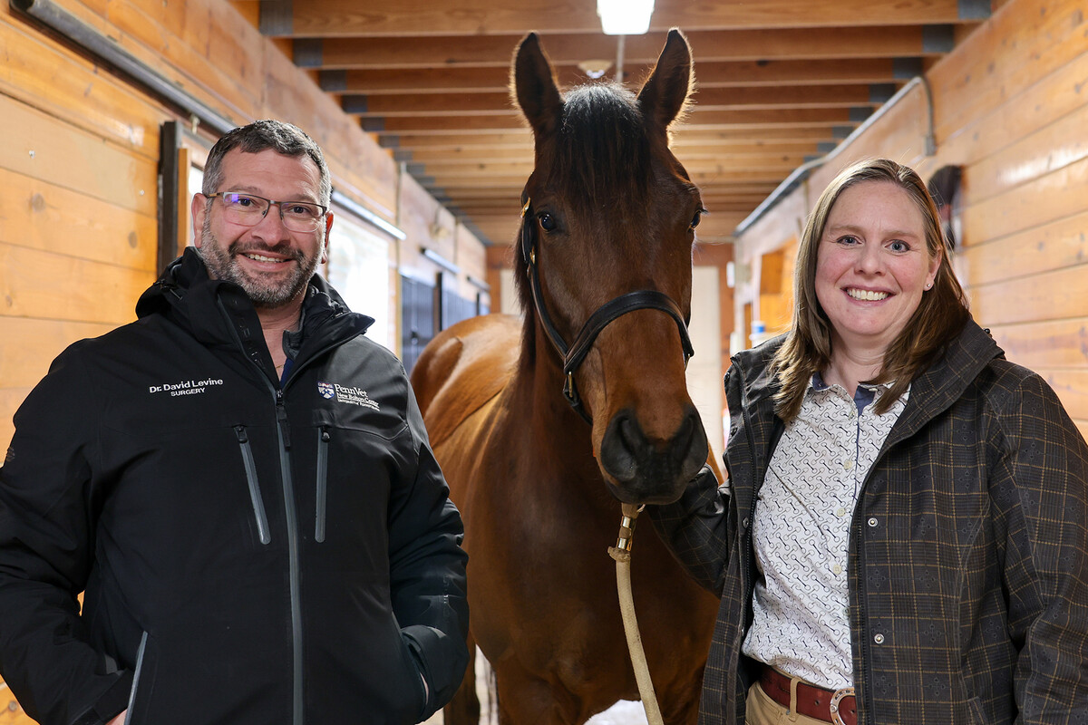 David Levine and Mary Robinson alongside a horse.
