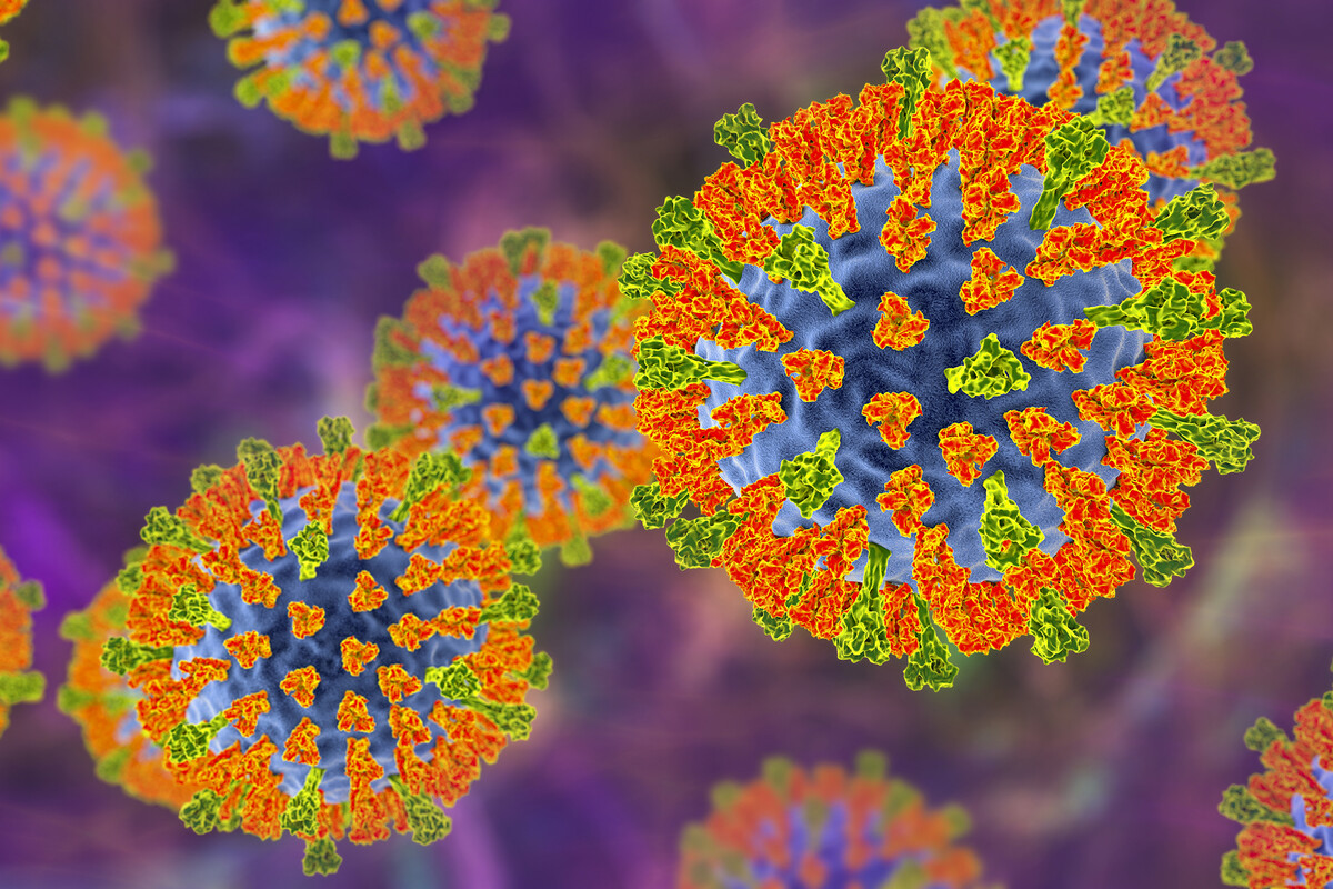 Microscopic view of the measles virus.